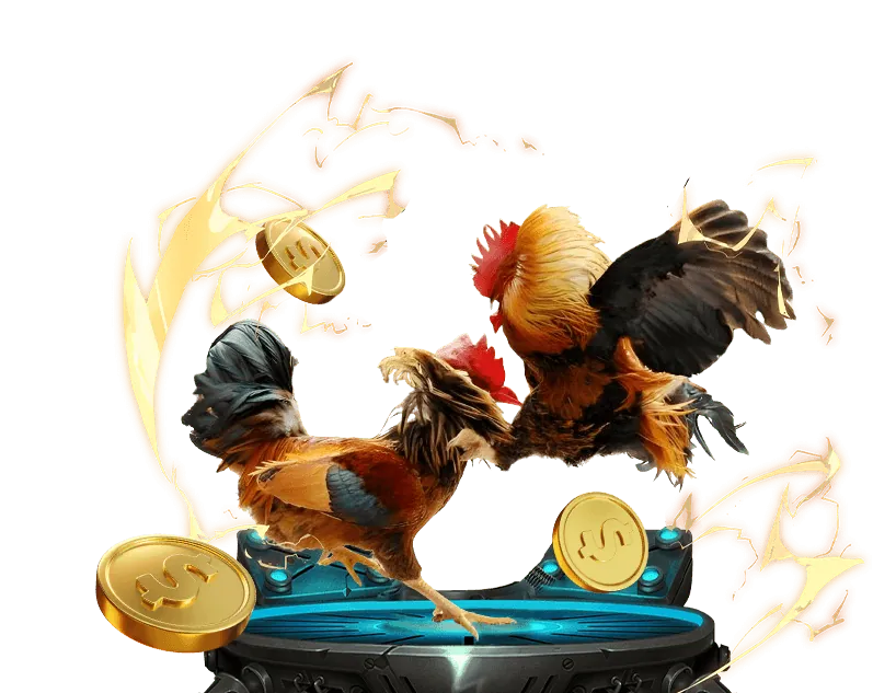 Hình ảnh các loại kèo cược phổ biến trong đá gà Thomo